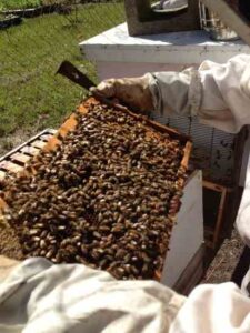 Spring is here!  Time to Get Busy! Image